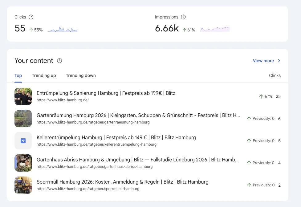 Google Search Console mit 55 Klicks und 6.660 Impressionen für Blitz Hamburg